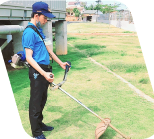 Chăm sóc cây xanh & cảnh quan - Xử lý côn trùng HKT